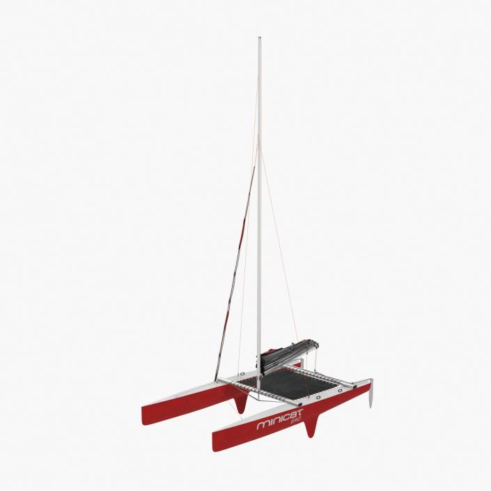 3D model Small Sail Catamaran