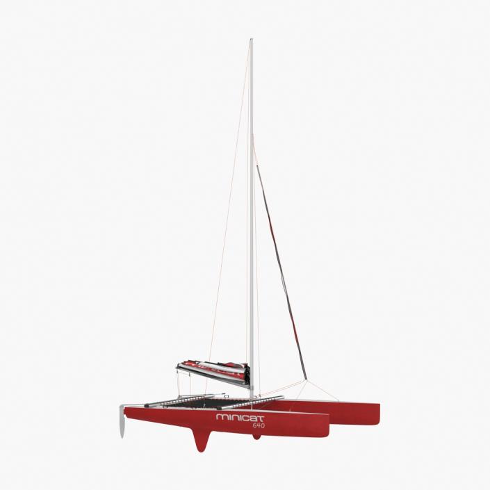 3D model Small Sail Catamaran