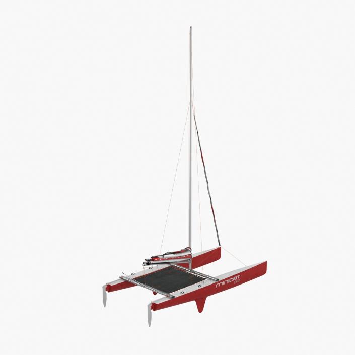 3D model Small Sail Catamaran