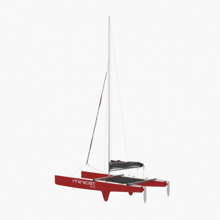 3D model Small Sail Catamaran