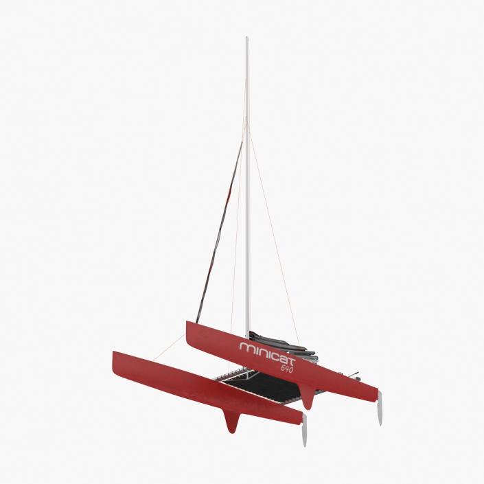 3D model Small Sail Catamaran