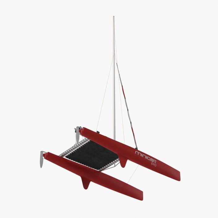 3D model Small Sail Catamaran