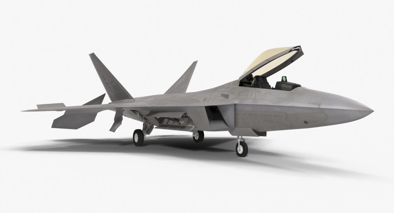 3D F-22 Raptor Rigged model