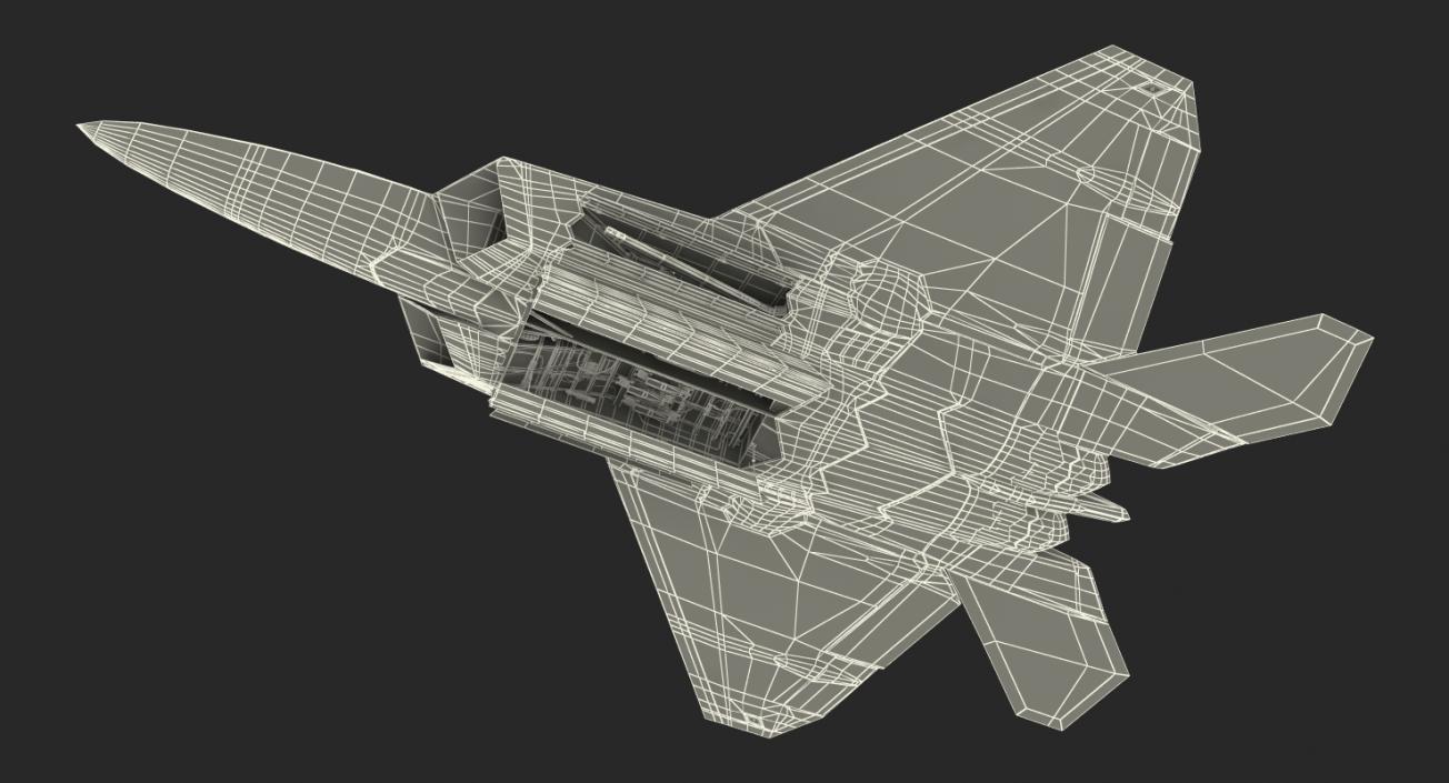 3D F-22 Raptor Rigged model