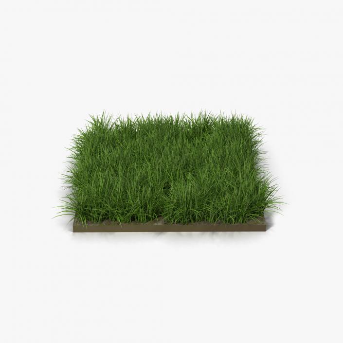 3D model Grass Fields Collection 2