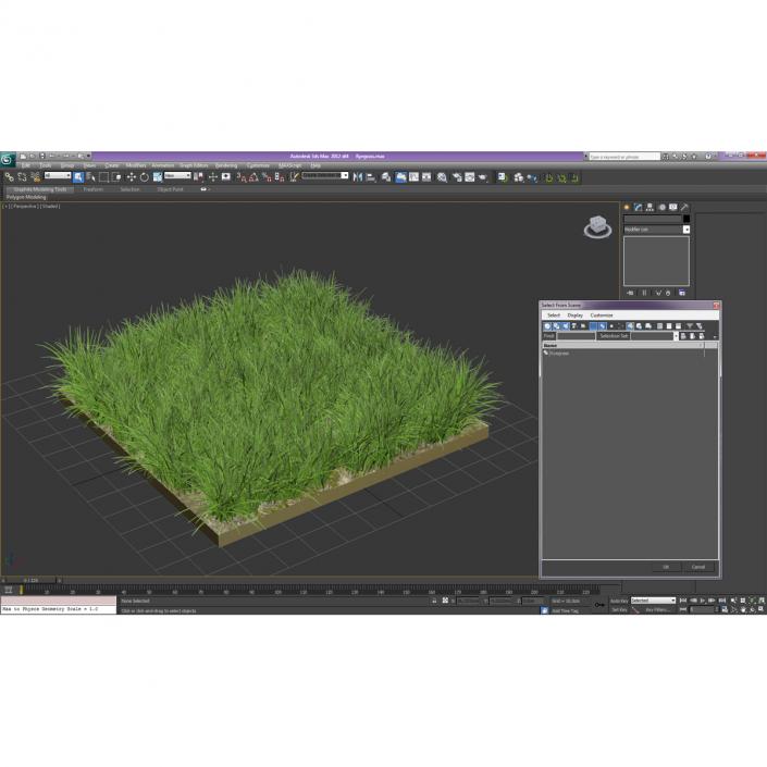 3D model Ryegrass