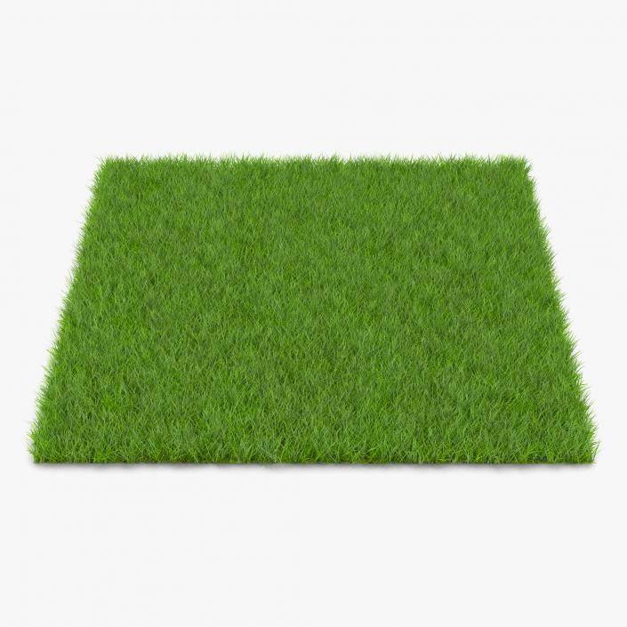 3D model Grass Fields Collection 2