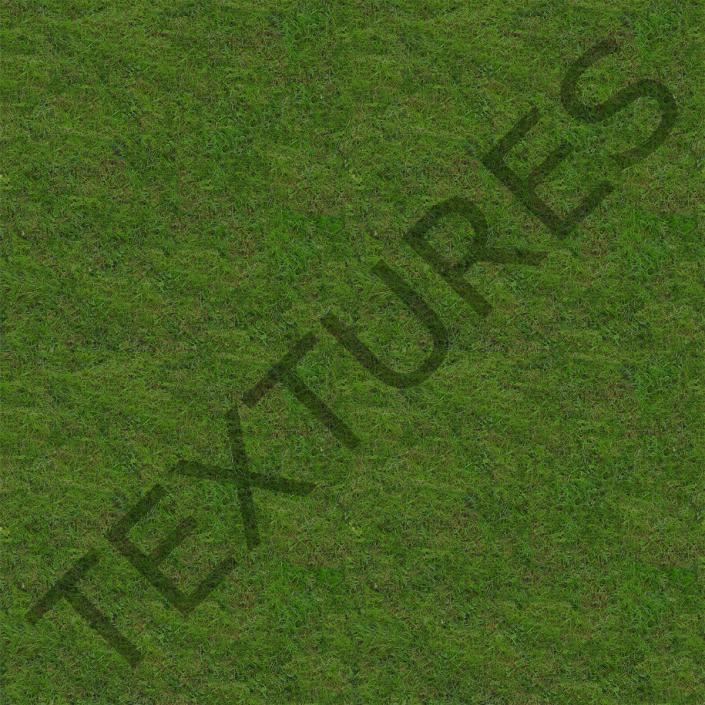 Fescue Grass 3D