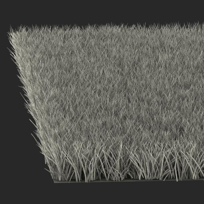 Fescue Grass 3D