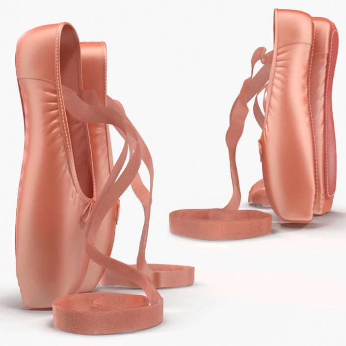 Pink Ballet Shoes 3D