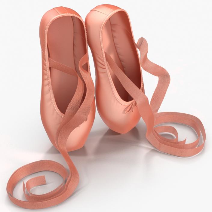 Pink Ballet Shoes 3D