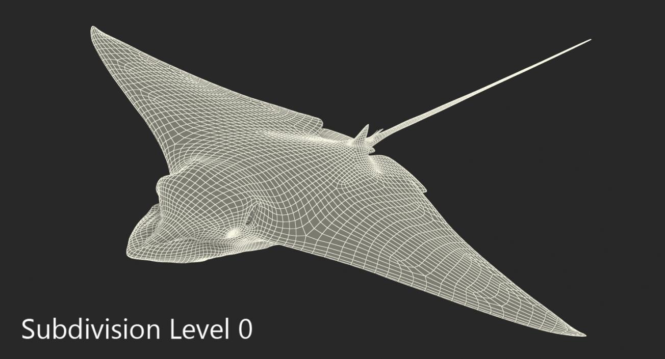 Eagle Ray 3D model