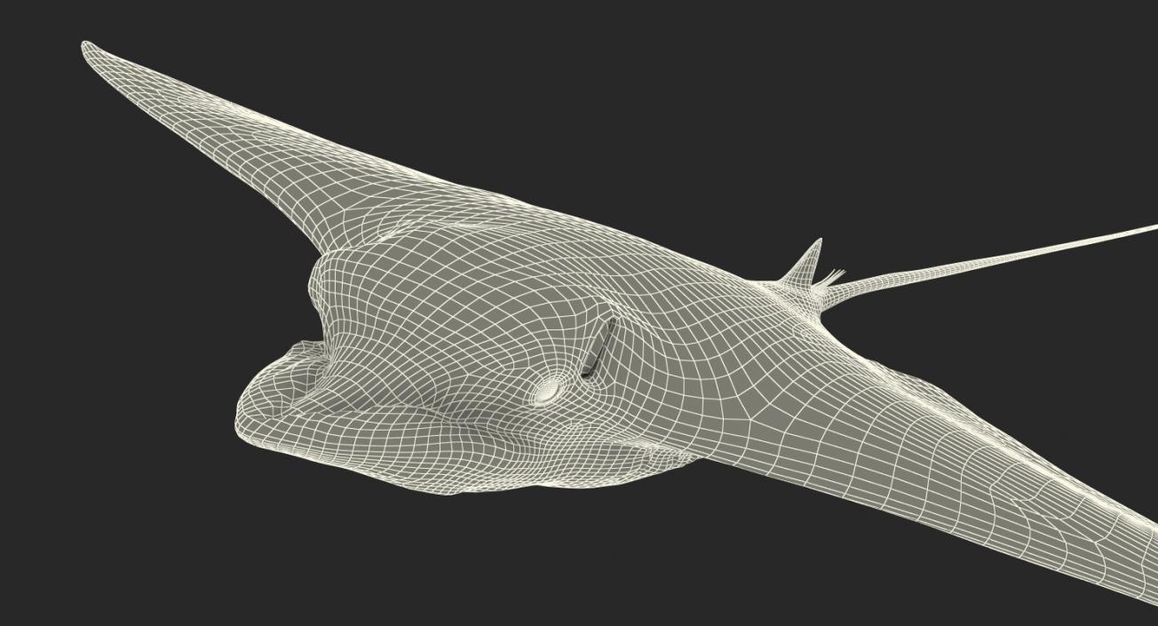 Eagle Ray 3D model