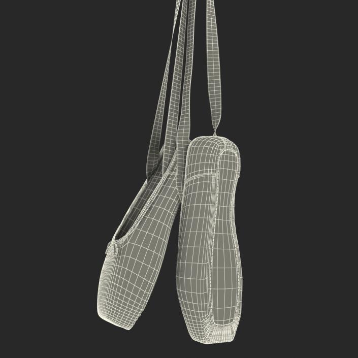 3D model Hanging Pink Ballet Shoes