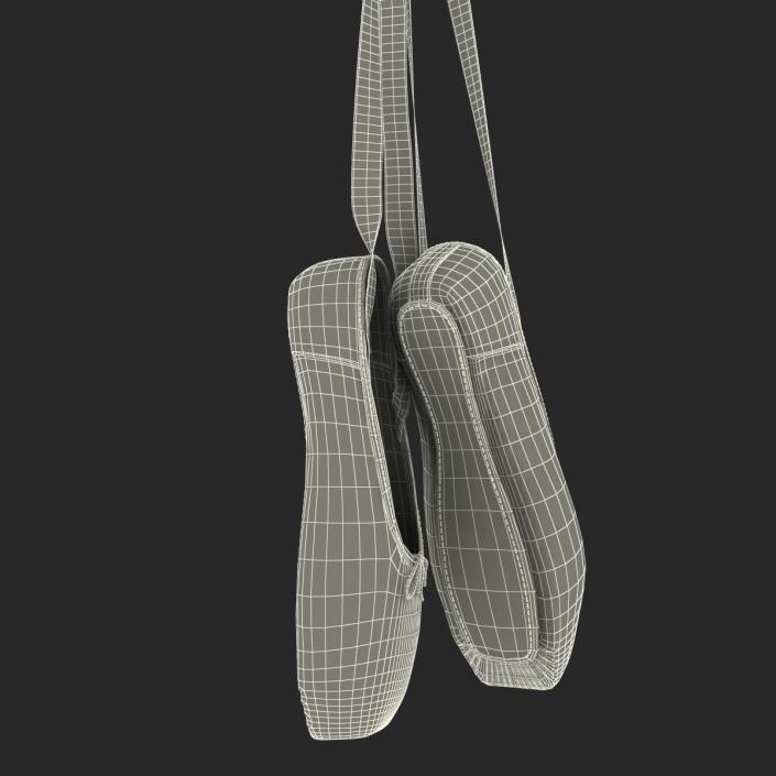 3D model Hanging Pink Ballet Shoes