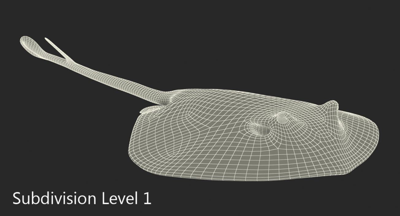 River Stingray 3D model