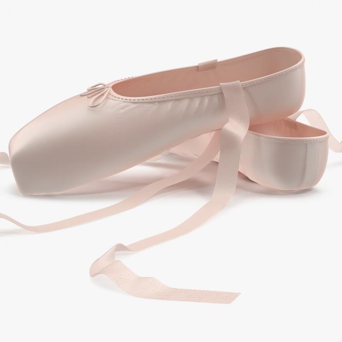 Ballet Shoes 3D