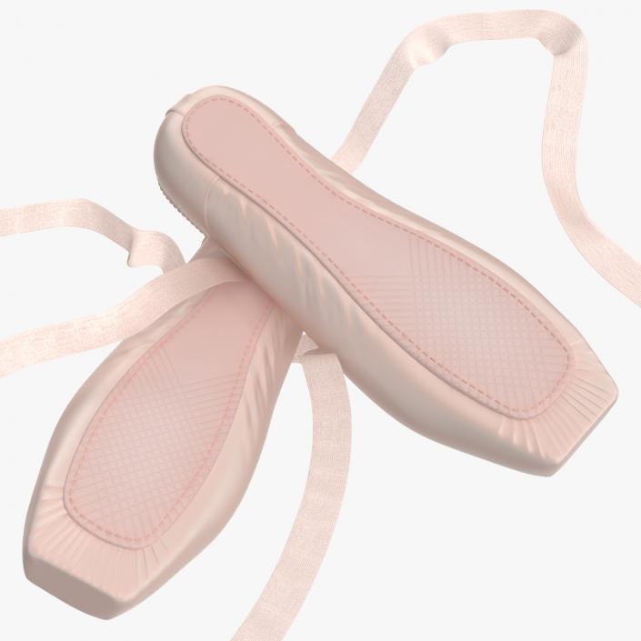 Ballet Shoes 3D