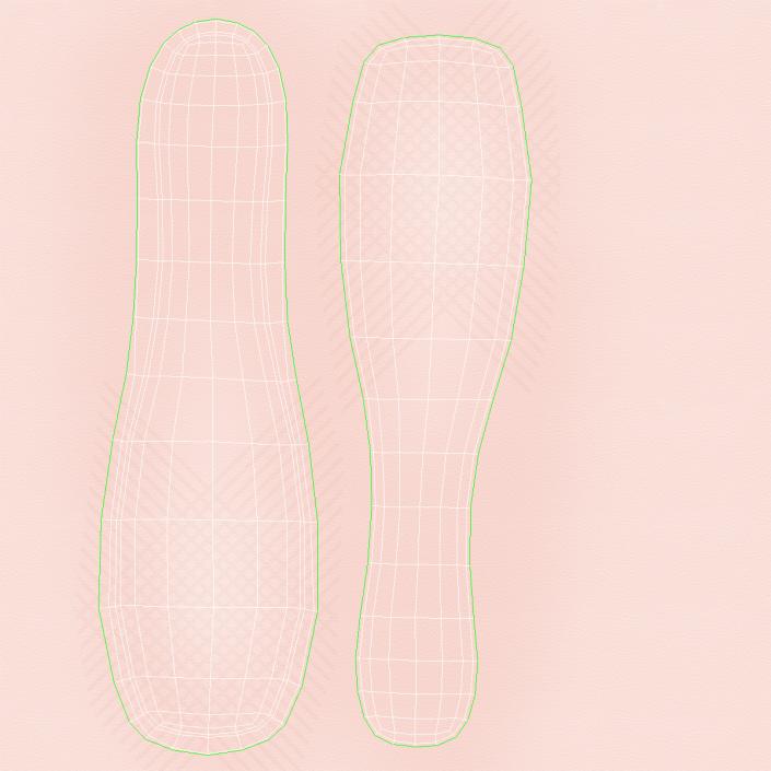 Ballet Shoes 3D