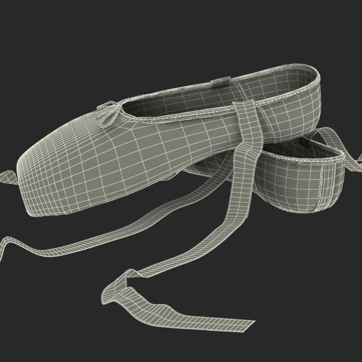 Ballet Shoes 3D