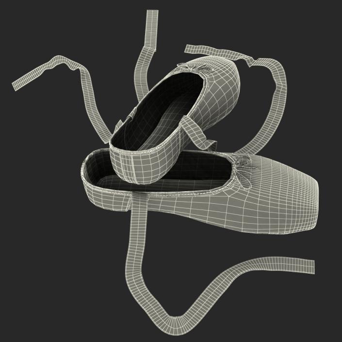 Ballet Shoes 3D