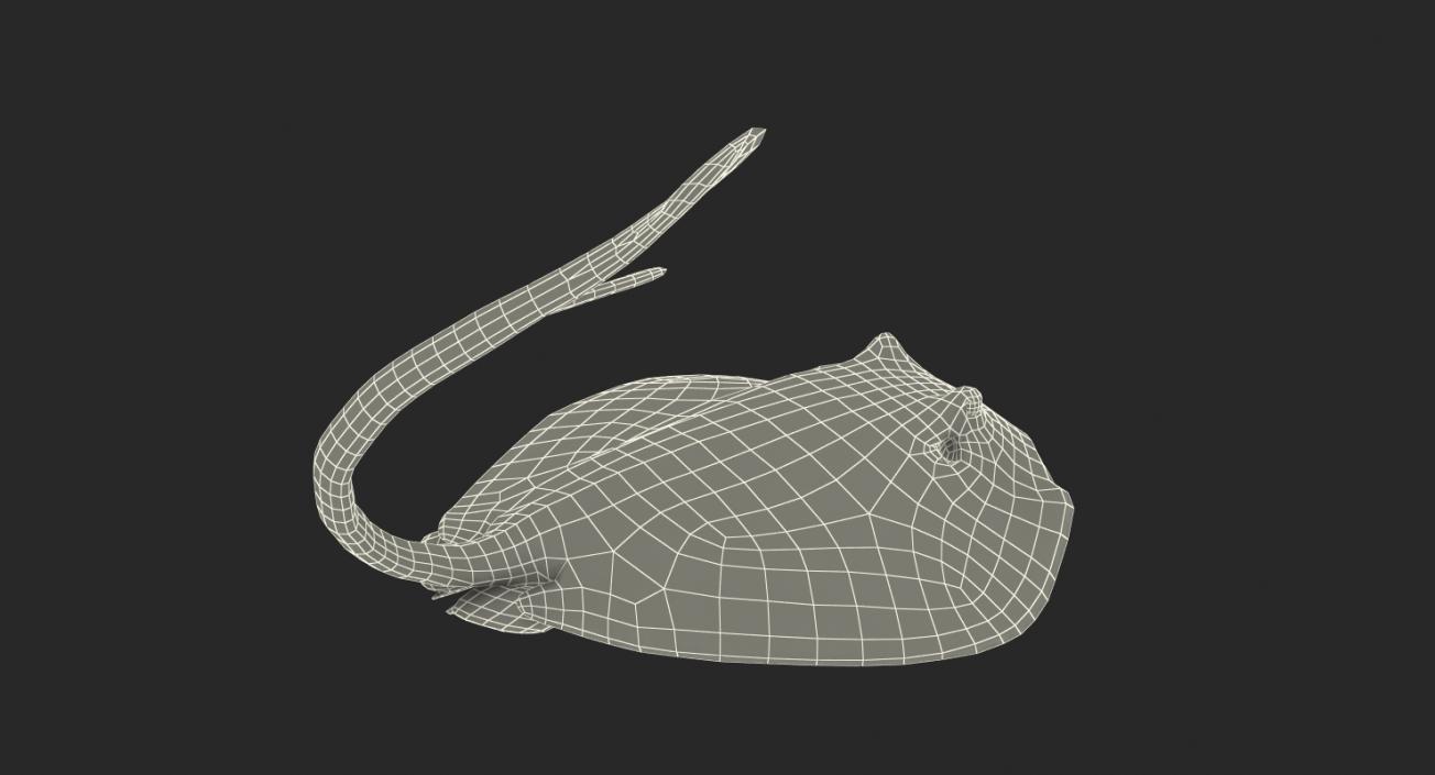 3D model Stingray Rigged