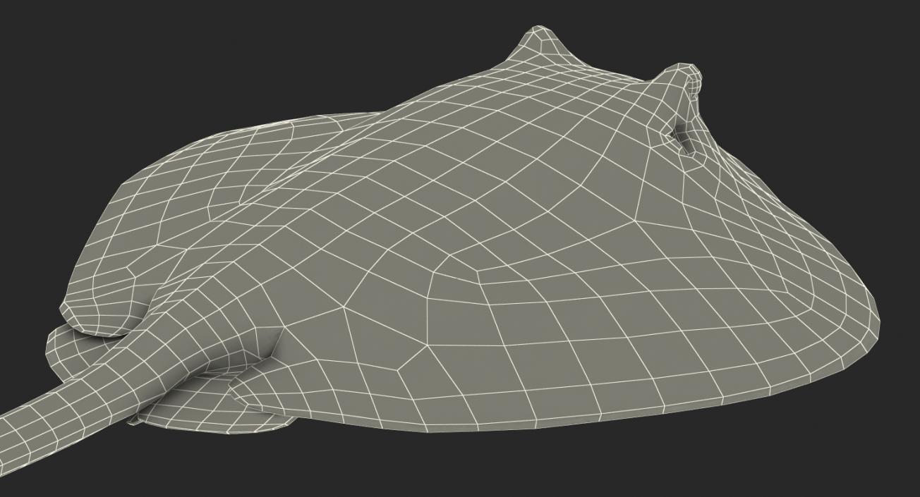 3D model Stingray Rigged