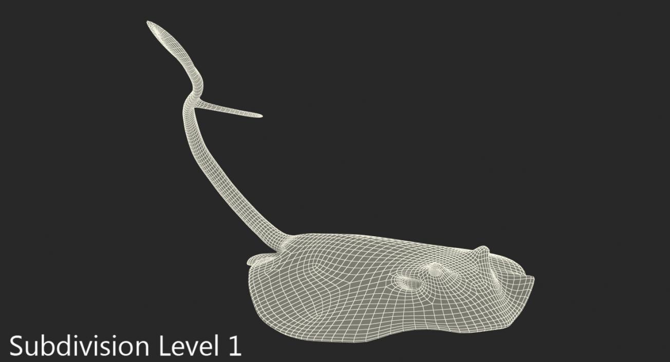 3D model Stingray Pose 2