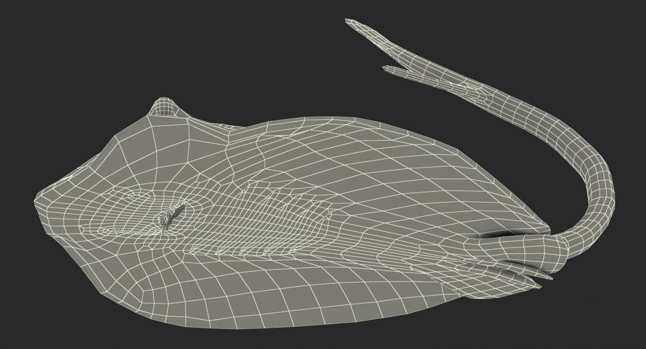 3D model Stingray Pose 2