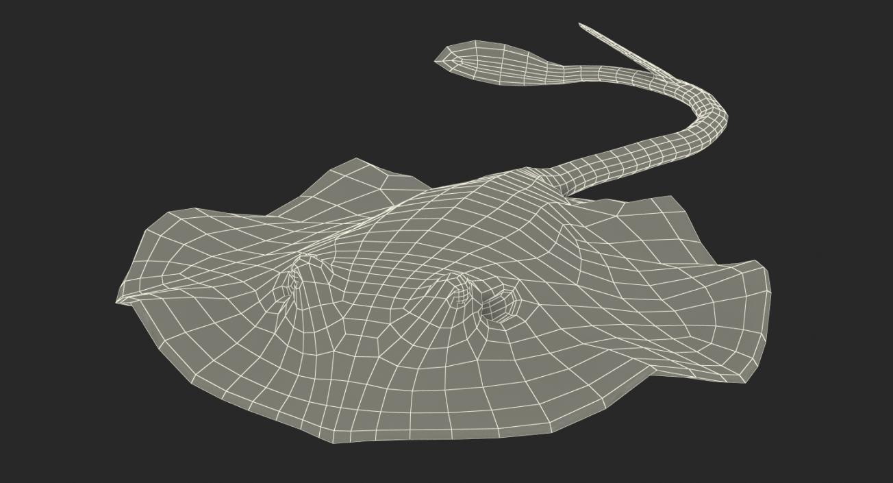 3D model Stingray Pose 3