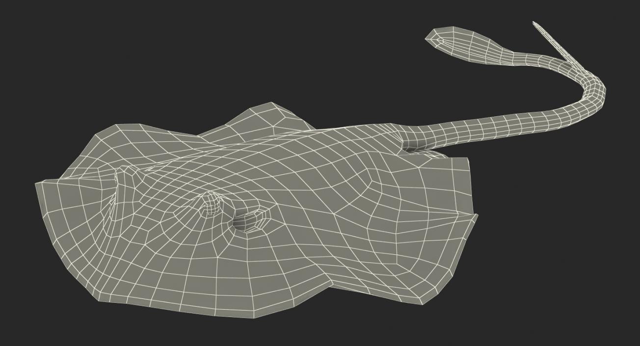 3D Blue Spotted Stingray Rigged model