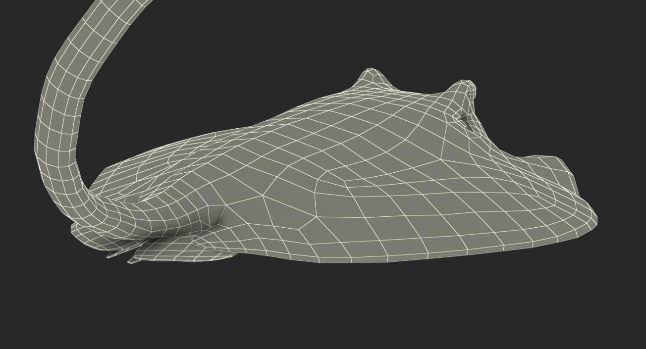 3D Blue Spotted Stingray Pose 2 model