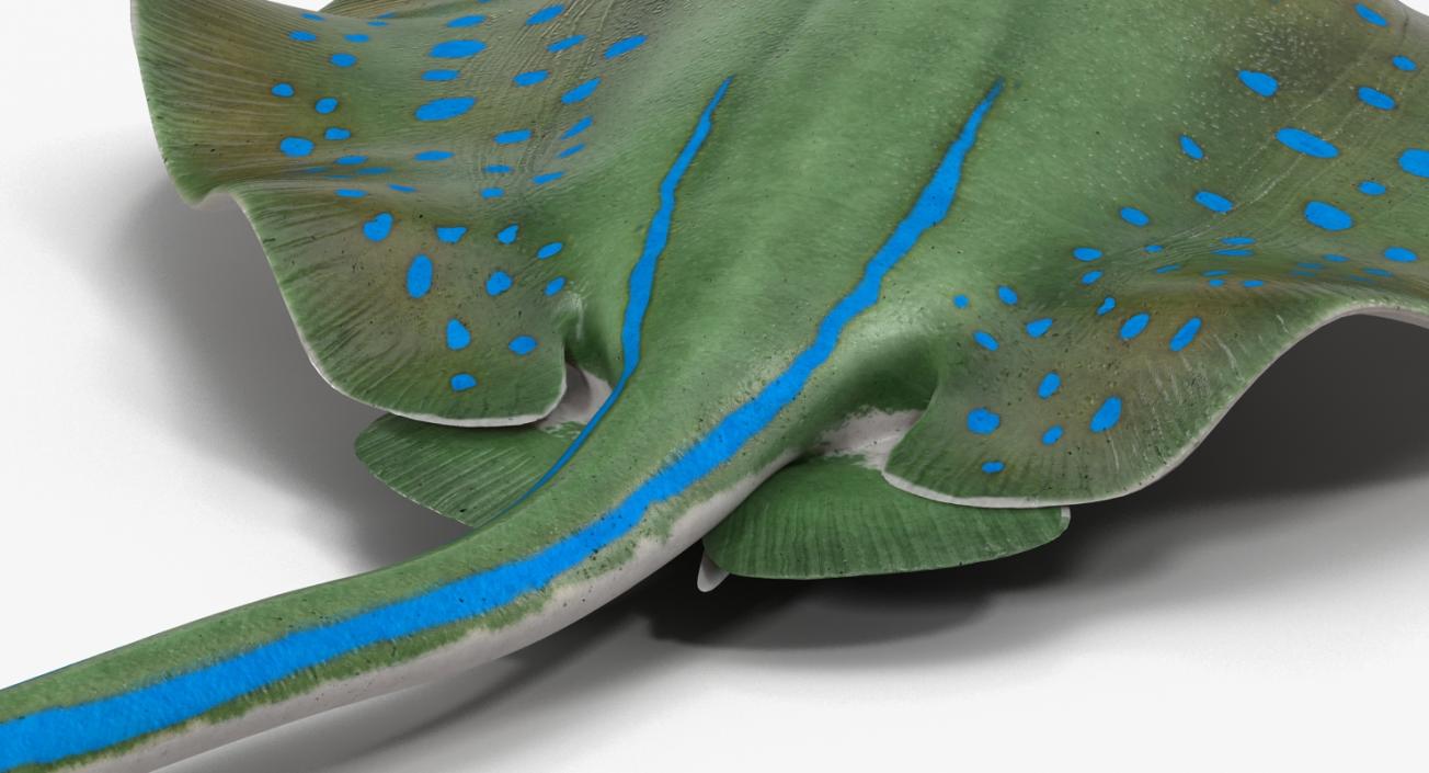 3D Blue Spotted Stingray Pose 3 model