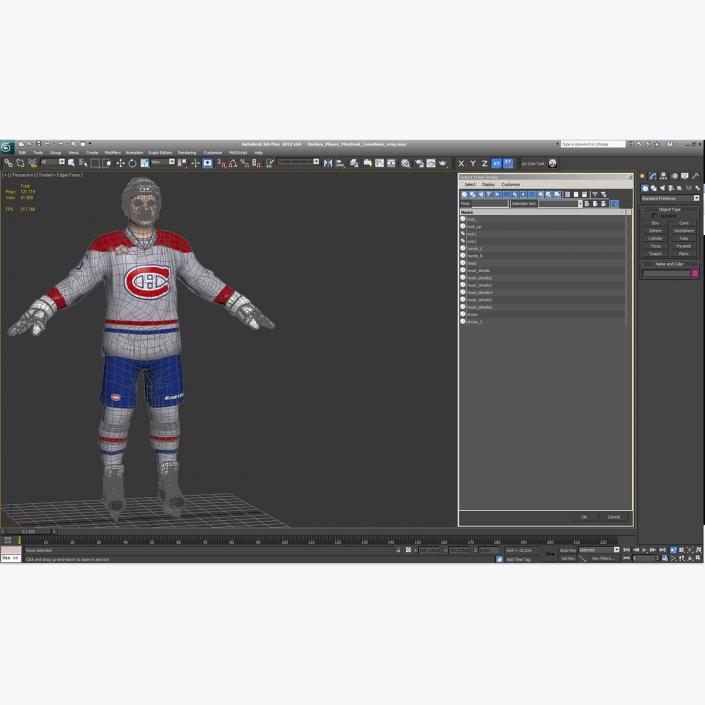 Hockey Player Montreal Canadiens 3D