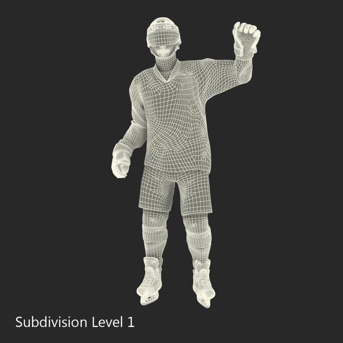 Hockey Player Montreal Canadiens Rigged 3D model