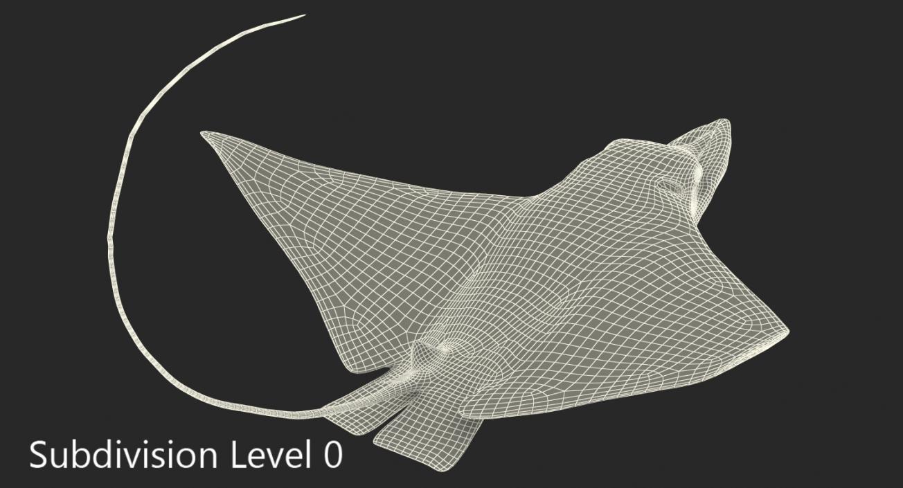 3D Eagle Ray Pose 2