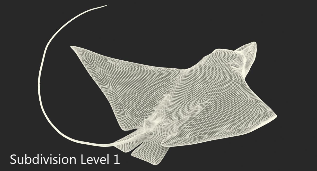 3D Eagle Ray Pose 2