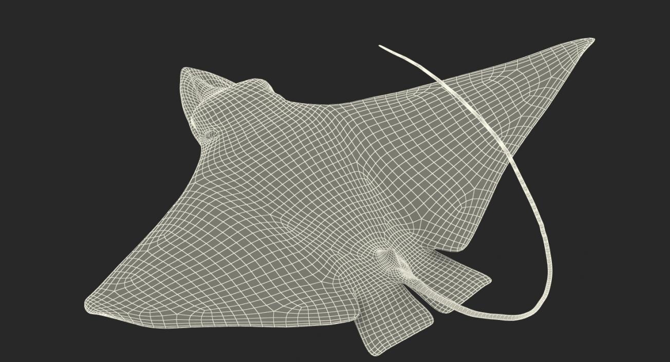 3D Eagle Ray Pose 2