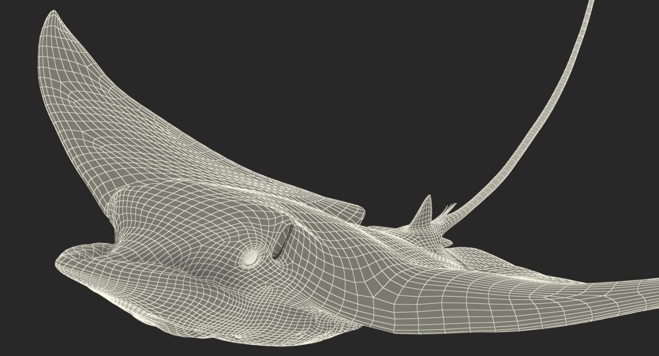 3D Eagle Ray Pose 2