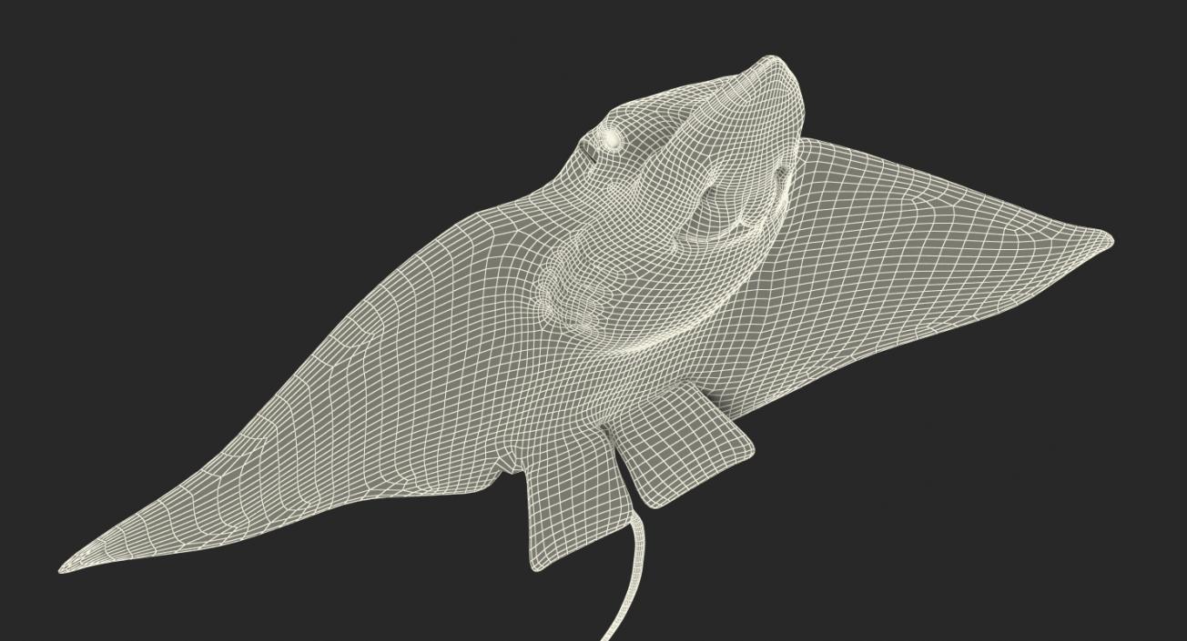 3D Eagle Ray Pose 3