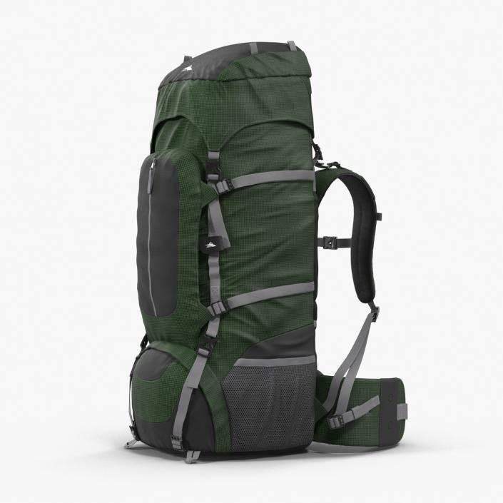 3D Large Camping Backpack Green model