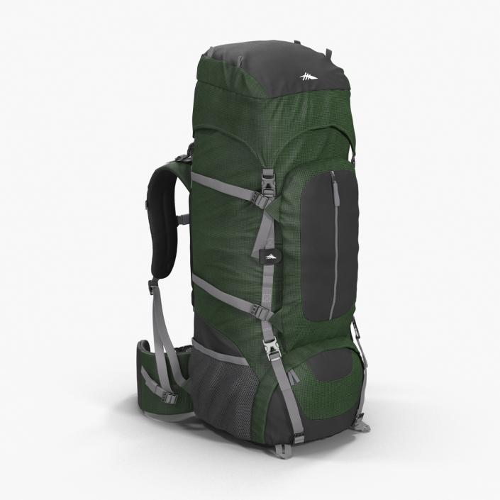 3D Large Camping Backpack Green model