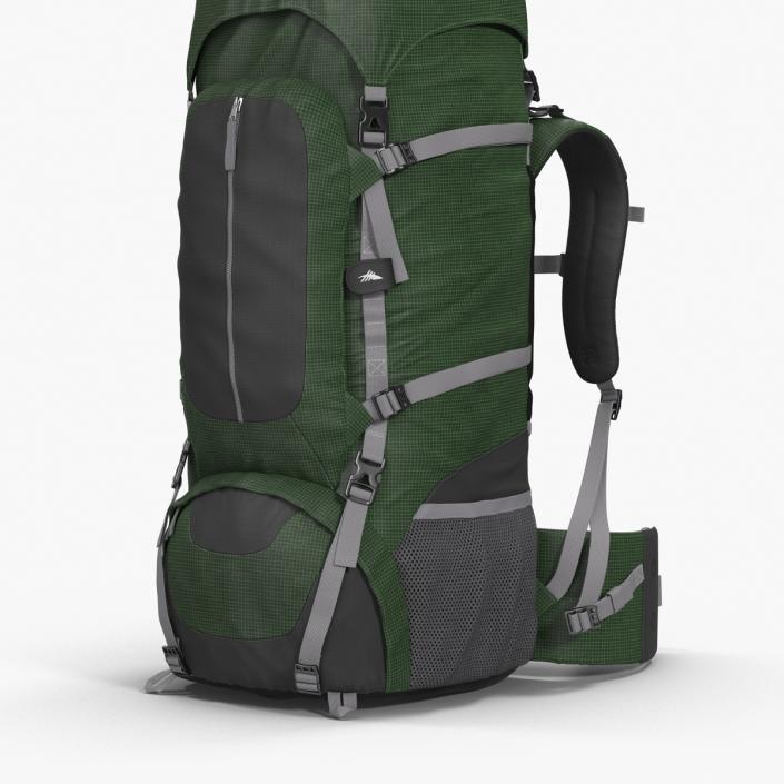 3D Large Camping Backpack Green model