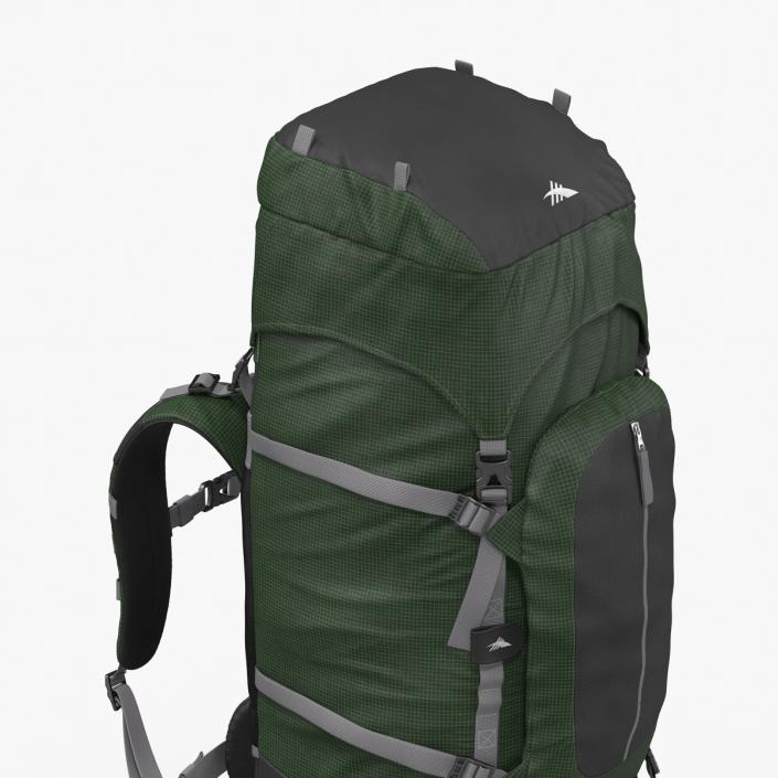 3D Large Camping Backpack Green model