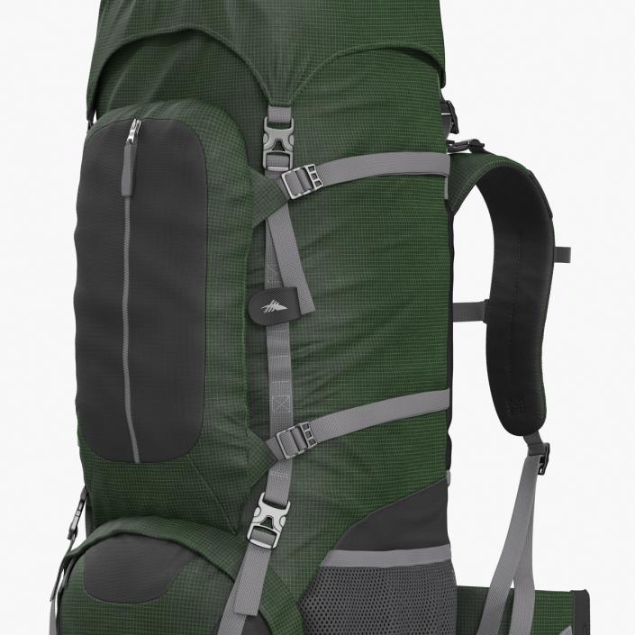 3D Large Camping Backpack Green model