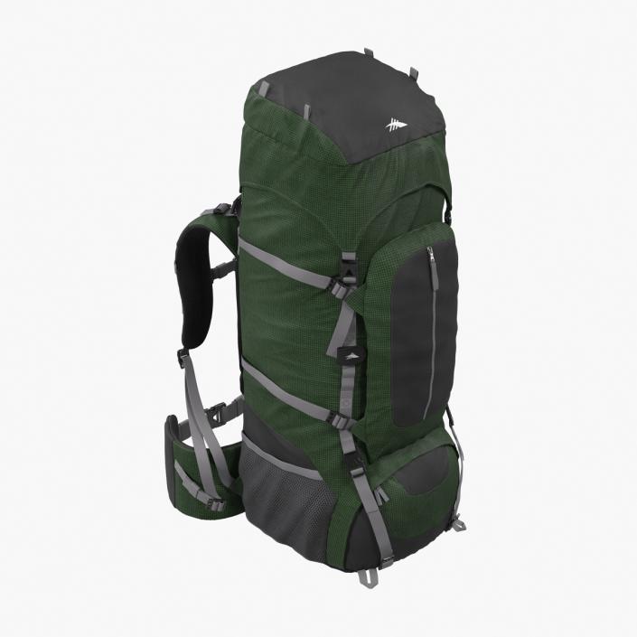 3D Large Camping Backpack Green model