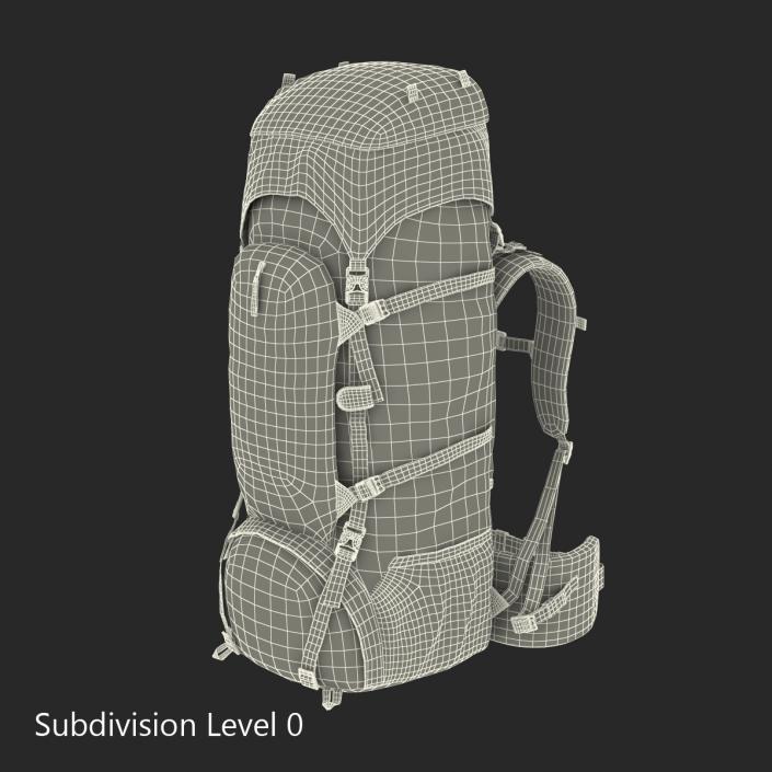 3D Large Camping Backpack Green model