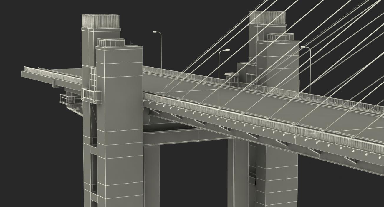 Nanpu Bridge 3D