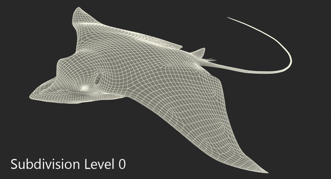 3D Eagle Ray Rigged