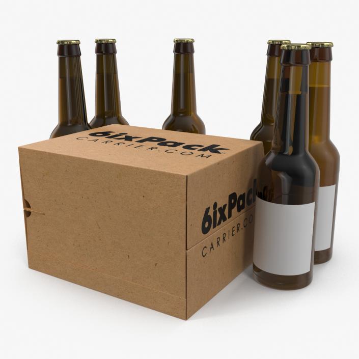 3D 6 Pack Bottle Holder with Bottles model